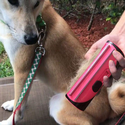 FurSweep grooming tool with stainless steel combs